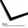 Экран для проекции ART EL F100 4:3 Photo 6