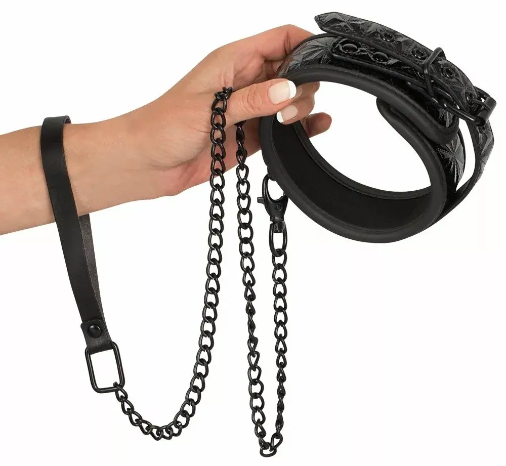 Pet collar and leash bad kitty 24919741001 Photo 3