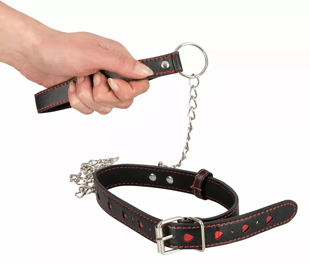 Adjustable Collar & Leash bad kitty 24920161001 Photo 3