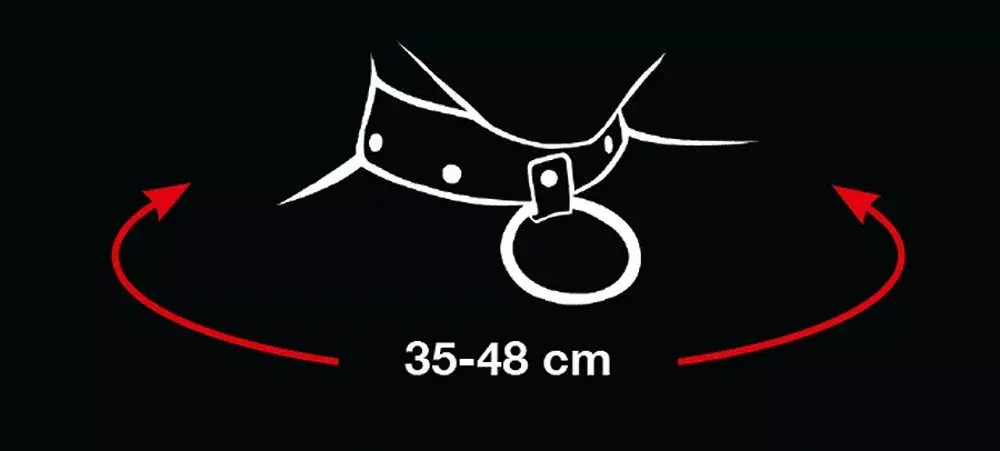 Adjustable Collar & Leash bad kitty 24920161001 Photo 6
