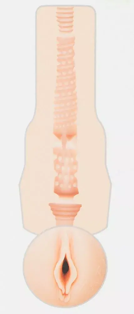 Fleshlight Riley Reid handheld male masturbator Photo 4