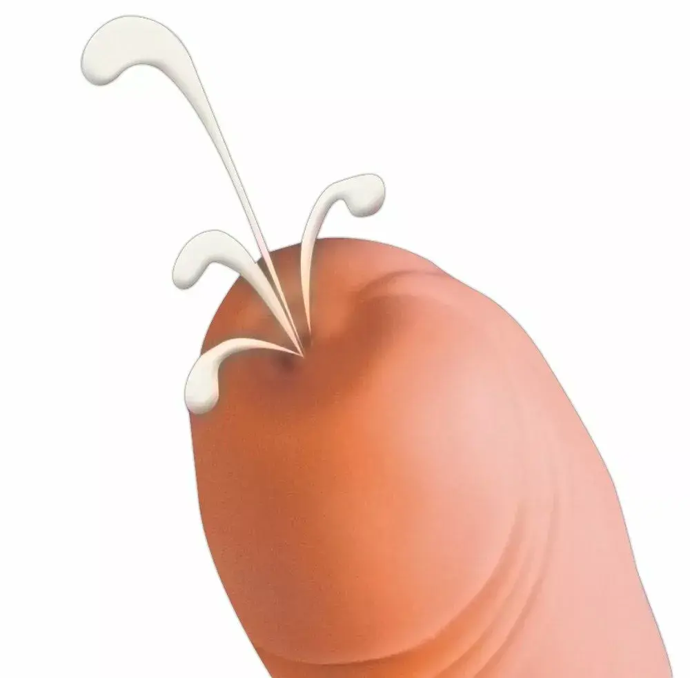 Dildo you2toys Cum Shot, silicone 21 cm Photo 4