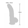 Dildo you2toys Medical Silicone 20 cm Photo 7