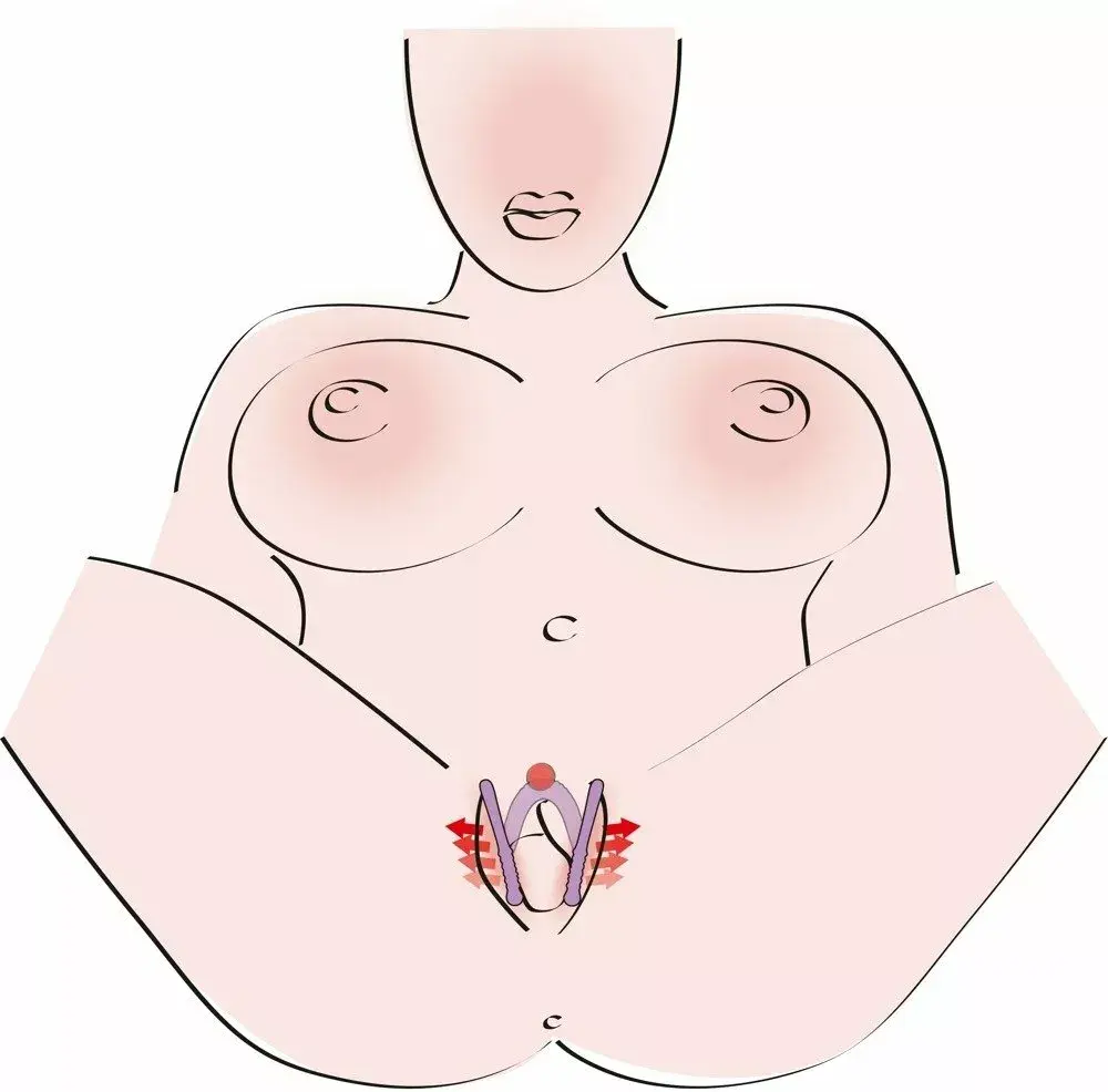 Интимный растяжитель you2toys 05035170000 Photo 5