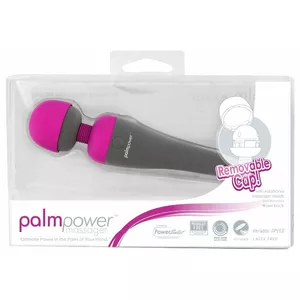 palmpower Massager