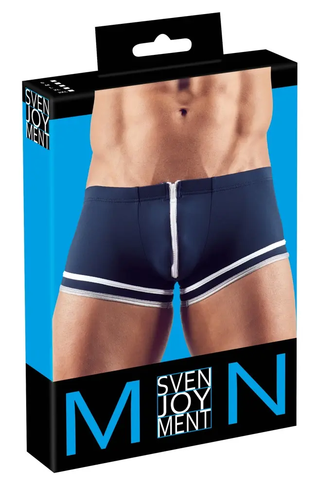 Vīriešu bikses Svenjoyment 21319604721, izmērs L