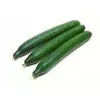 Garie gurķi Cucumbers Long Latvia 450-05870 Photo 3