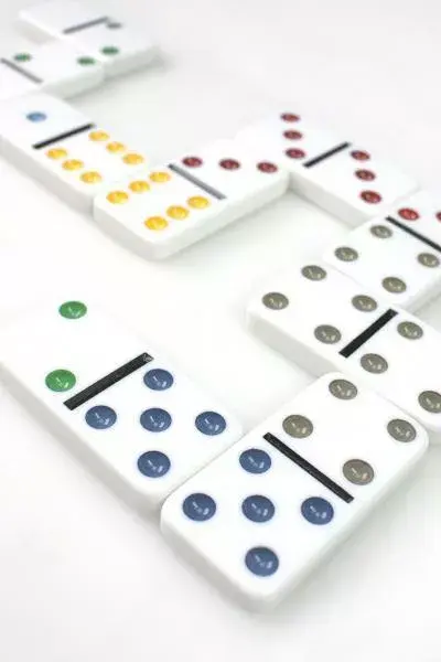 Domino Tactic Domino Double 6 Photo 4