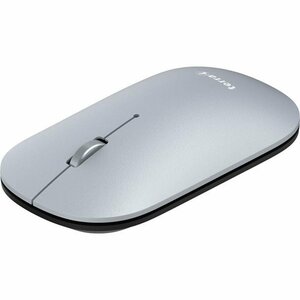 Wortmann AG TERRA NBM1000S mouse Ambidextrous RF Wireless+Bluetooth Optical 4000 DPI