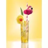 Drinking Straws Papstar 87782 Photo 2