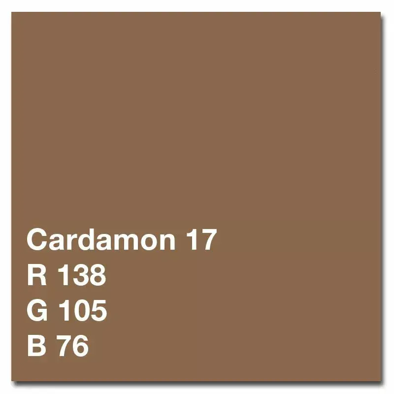 Colorama fona papīrs LL CO517 1,35x11 m Cardamon Photo 2