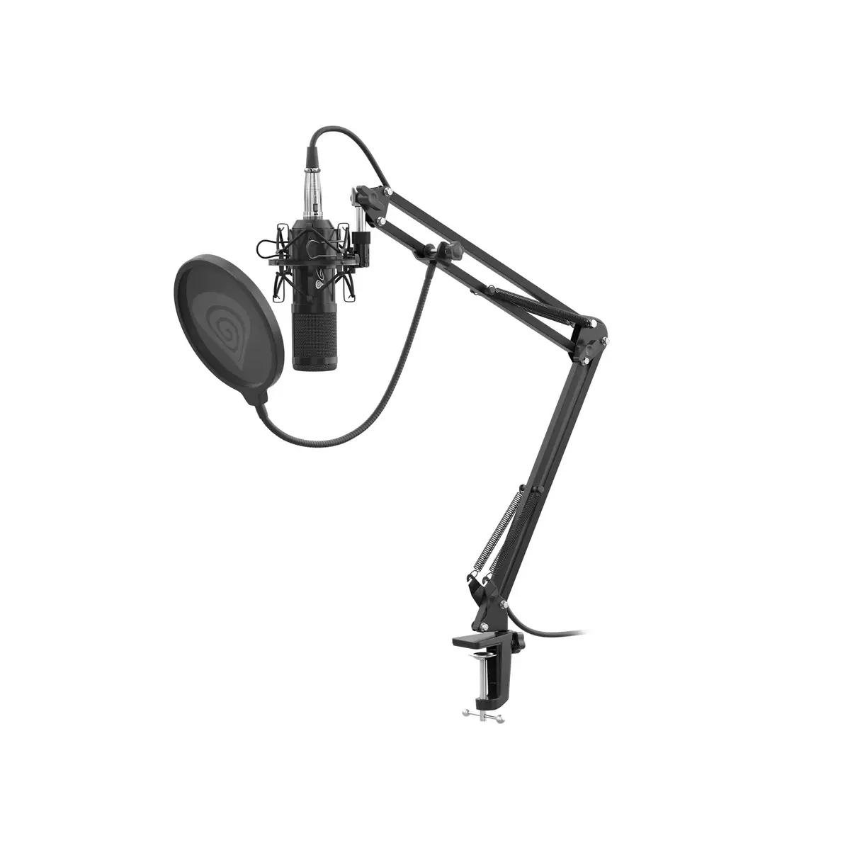 Studijas mikrofons GENESIS Radium 300 XLR Photo 2