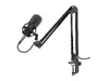 GENESIS Radium 300 XLR Studijas mikrofons Photo 6