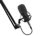 GENESIS Radium 300 XLR Studijas mikrofons Photo 14