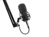 GENESIS Radium 300 XLR Studijas mikrofons Photo 18