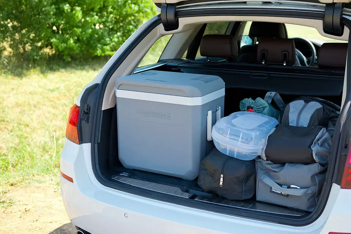 Холодильник Campingaz Powerbox Plus 36 L Photo 5