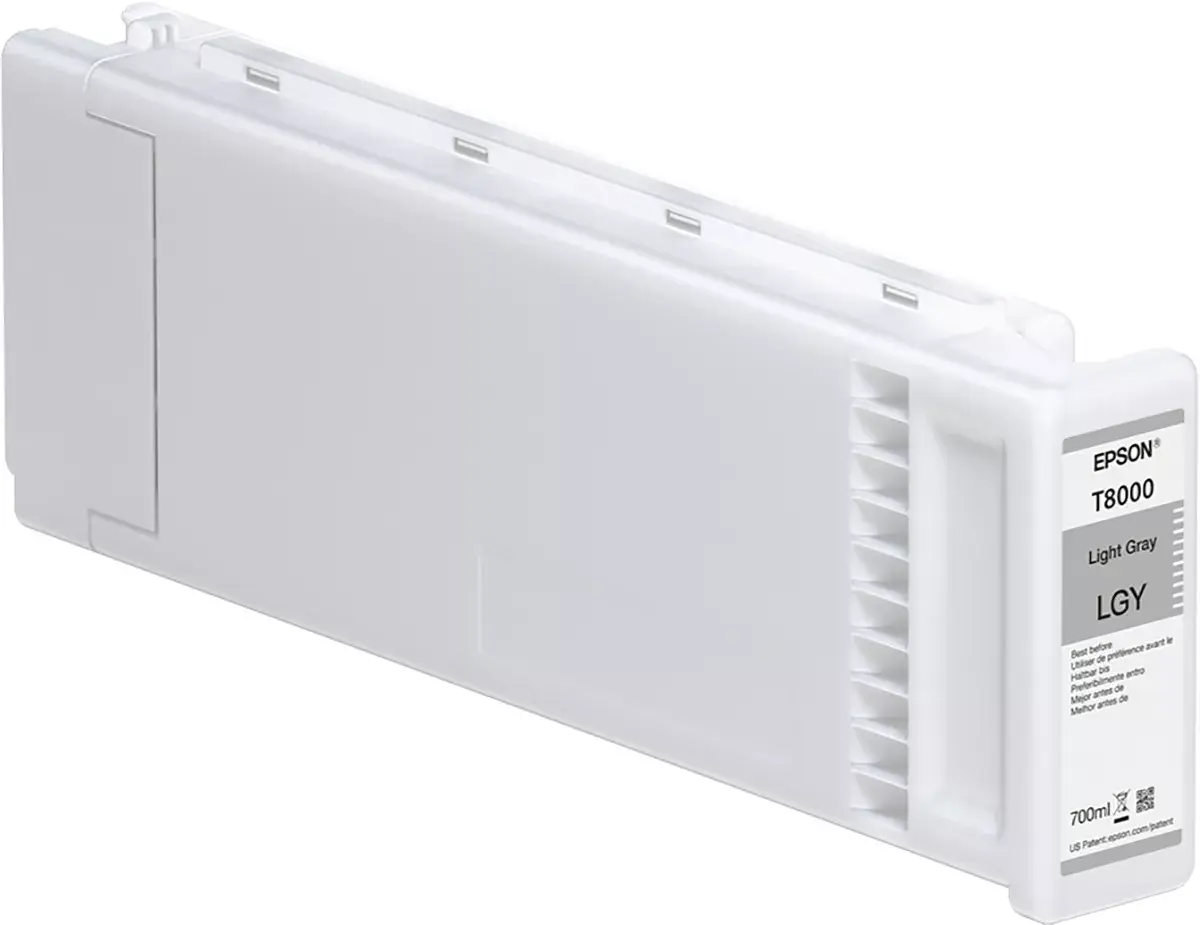 Картридж Epson SINGLEPACK LIGHT GRAY T800000 Photo 2
