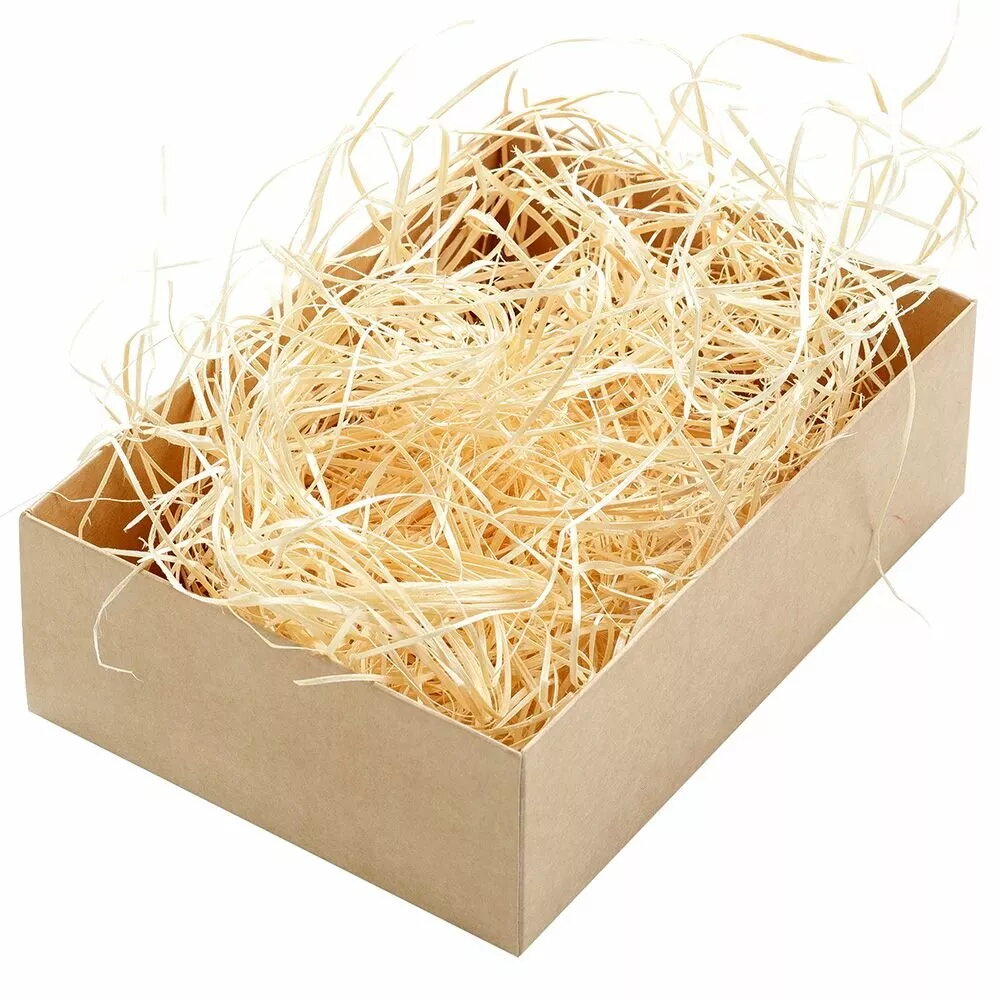 Pet Accessories