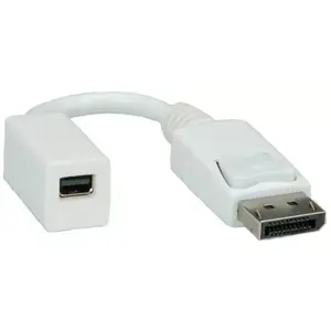ROLINE DisplayPort adapter DP male to Mini DisplayPort female, 0.15 m, white