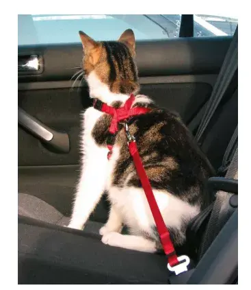 Harness Trixie 4011905012940 Photo 2