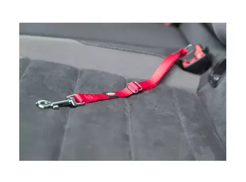 Harness Trixie 4011905012940 Photo 3