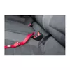 Harness Trixie 4011905012940 Photo 4