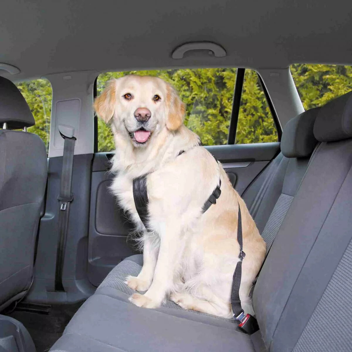 Auto drošības siksna suņiem Trixie L