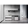 Посудомоечная машина Whirlpool WSFO 3O23 PF X Photo 4