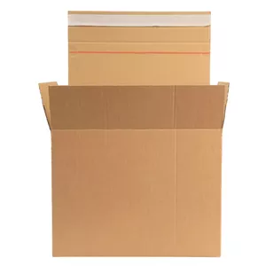 Cardboard shipping box Speedbox 150-03684, 250×160×65 mm, with adhesive tape