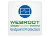 Лицензия на объем Webroot SecureAnywhere Business Endpoint Protection Photo 3