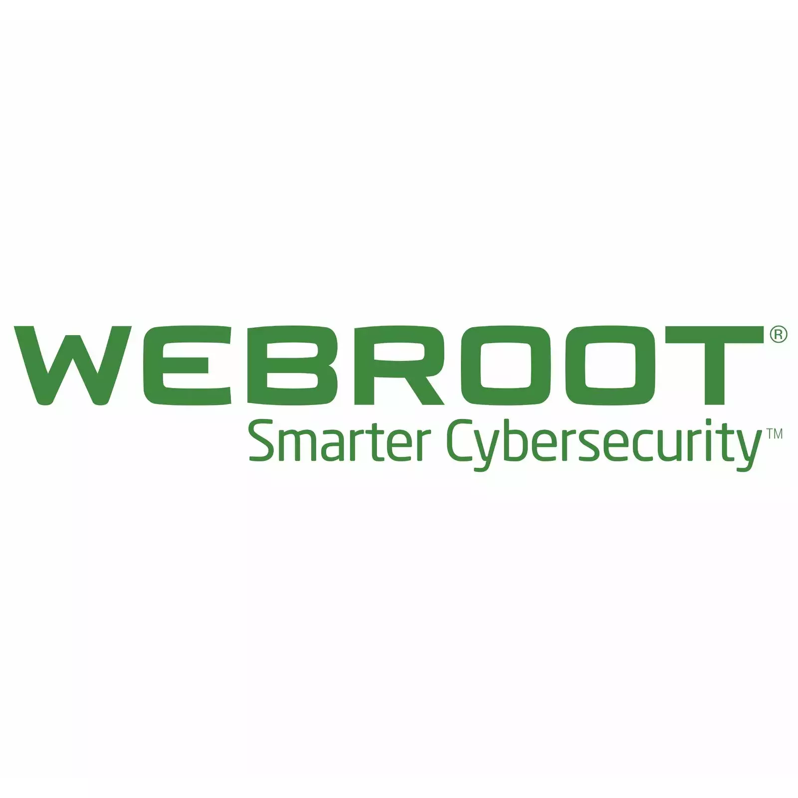 Webroot 112260012B Photo 1