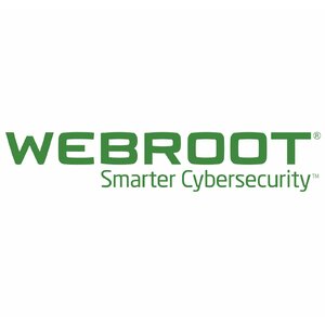 Webroot SecureAnywhere Business, DNS Protection Volume License (VL) 1 licence(-s) 1 gads(i)
