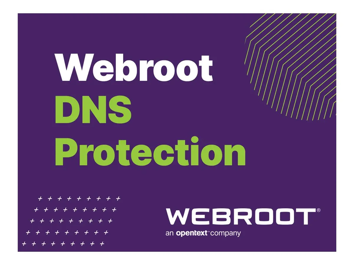 Объемная лицензия Webroot SecureAnywhere Business DNS Protection Photo 2