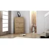 Закрытый шкаф для обуви Top e Shop PAULA ARTISAN Photo 2