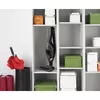Gorenje SVC216FGD пылесос 2-в-1 Photo 6