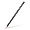 Krāsainie zīmuļi Staedtler 149C C24 Photo 2