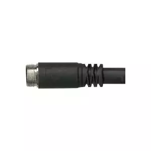Audio cable Kindermann 7484-10 10 m Black