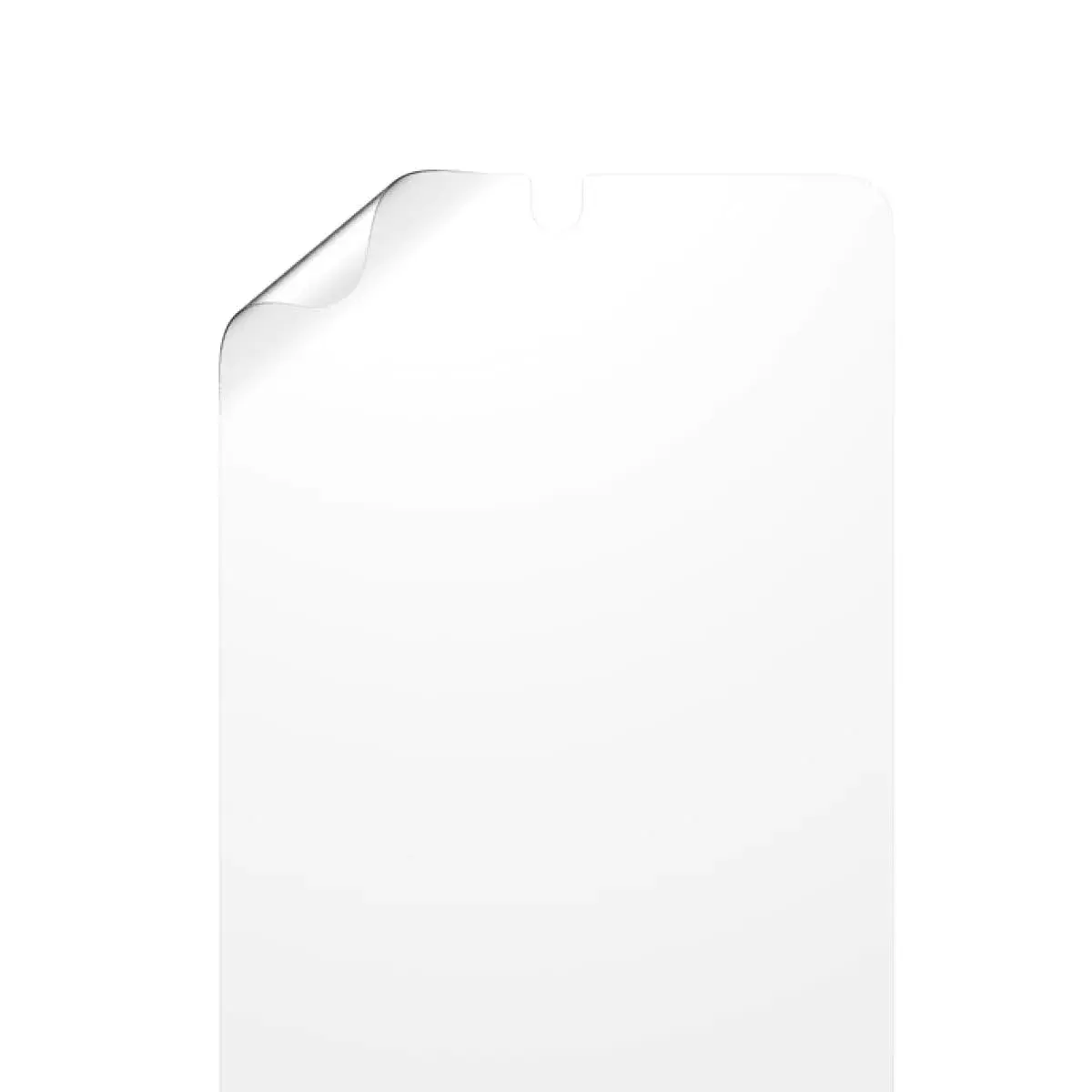 PanzerGlass Screen Protector for Samsung Galaxy Note20 Photo 7