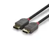 DisplayPort kabelis Lindy 15m Photo 5