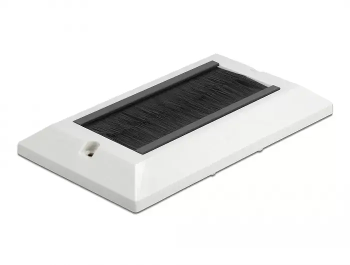 Wall Plate DeLOCK 66492 Photo 2