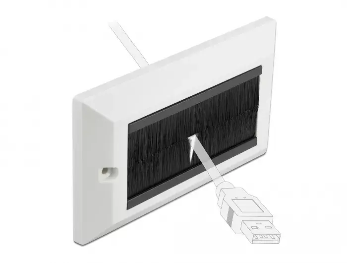 Wall Plate DeLOCK 66492 Photo 3
