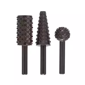 Rasp Bosch 2609255302