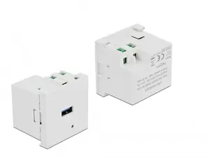 Power socket USB-A DELOCK 81311, white, 100–240V, 0.5A, LED power indicator, plastic housing