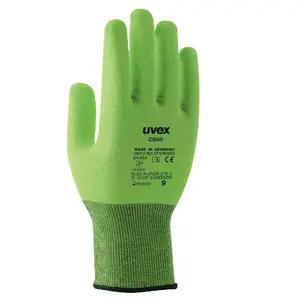 Protective Goggles Uvex C500 Green