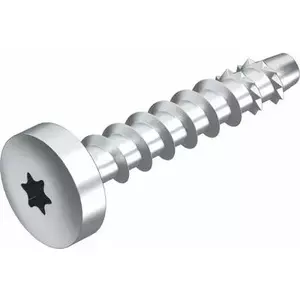 Screw Anchor obo bettermann T 3498108 Panhead Drive
