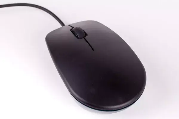 Mouses