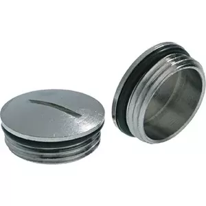Lapp SKINDICHT BL-M Brass Plug M25
