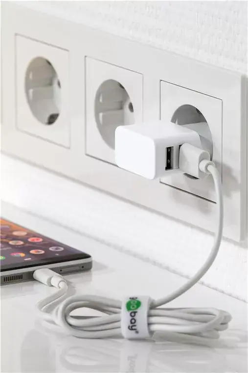 Charger Indoor Wentronic 44979 Photo 5