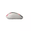 Мышь Rapoo M500 Silent Photo 5