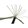 HDMI kabelis SpeaKa Professional SP-7870704 Photo 2